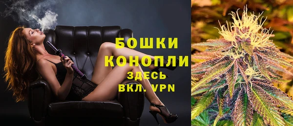 молекула духа Заволжск